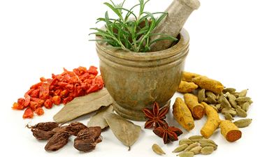 metodi di trattamento dei parassiti nel corpo